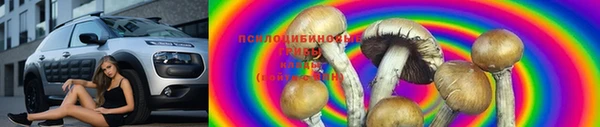 PSILOCYBIN Беломорск
