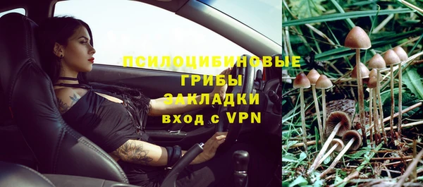 PSILOCYBIN Беломорск