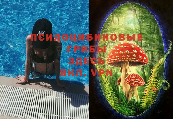 метамфетамин Белокуриха
