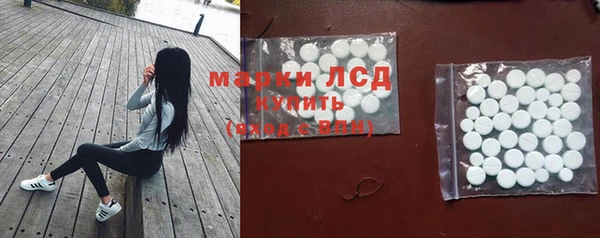 PSILOCYBIN Беломорск