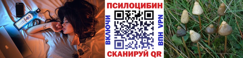 Галлюциногенные грибы Magic Shrooms  Астрахань 